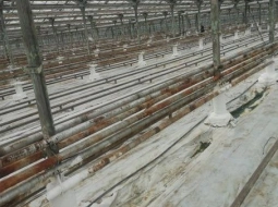 Переносили трубы в теплицах